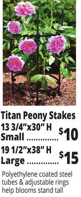 Ocean State Job Lot Tiller & rowe small titan peony 2-ring plant support, 30 offer