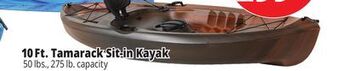 Ocean State Job Lot Lifetime tamarack 10' sit-on kayak offer
