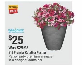 The Home Depot # 12 Premier Catalina Hanging Basket Patio-ready premium annuals in a designer hanging basket offer