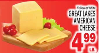 C Town Great lakes american cheese offer