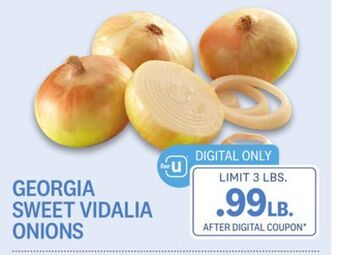 Kings Food Markets Georgia sweet vidalia onions offer
