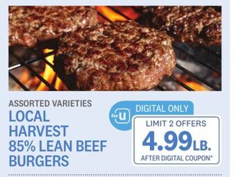 Kings Food Markets Local harvest 85% lean beef burgers offer