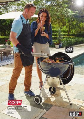 Ace Hardware Weber® 22 original kettle™ premium grill offer