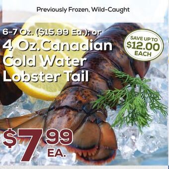 DeCicco & Sons Canadian cold water lobster tail offer