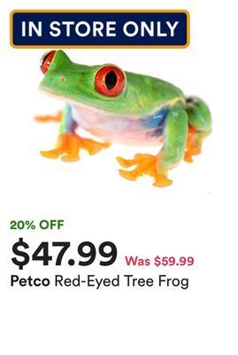 Petco Red-eyed tree frog offer