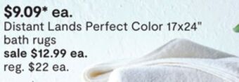 JC Penney Distant lands perfect color 17x24 bath rugs offer