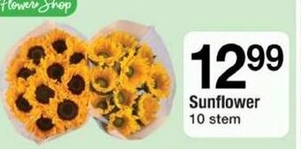 ACME Sunflower offer