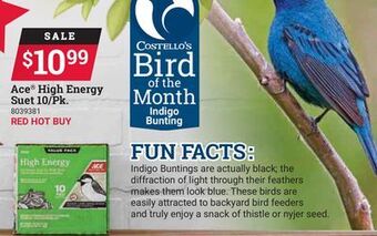 Ace Hardware Ace high energy suet 10/pk offer