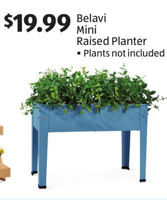 Aldi Belavi mini raised planter offer