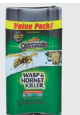 The Home Depot Spectracide 2-pack 18.5 oz. wasp & hornet killer spray offer