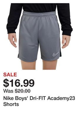 Dick's Sporting Goods Nike boys' dri-fit academy23 shorts offer