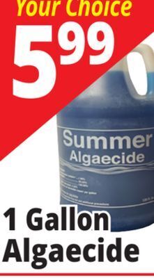 Ocean State Job Lot Summer algaecide, 1 gal offer