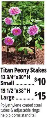 Ocean State Job Lot Titan peony stakes 13 3/4 x 30 h offer