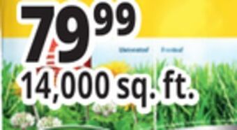 Ocean State Job Lot Scotts weed & feed offer