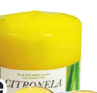 Ocean State Job Lot Citronella insect repellent pillar candle offer