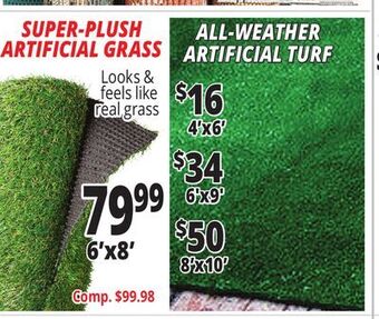 Ocean State Job Lot Artificial grass offer