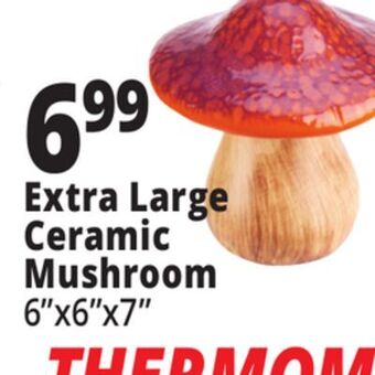 Ocean State Job Lot Extra large ceramic mushroom offer