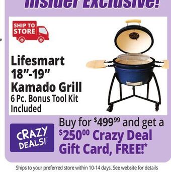 Ocean State Job Lot Lifesmart 18-19 kamado grill offer