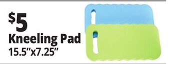 Ocean State Job Lot Kneeling pad offer
