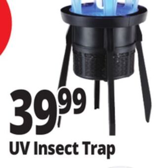 Ocean State Job Lot Outdoor living accents indoor/outdoor insect trap offer