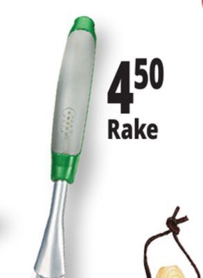 Ocean State Job Lot Rake offer