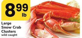 ACME Large snow crab clusters offer