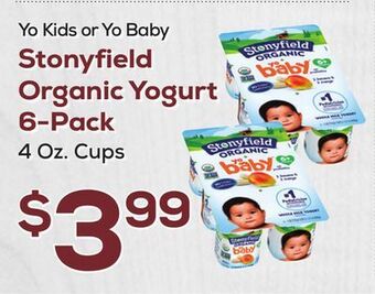 DeCicco & Sons Stonyfield organic yogurt 6-pack offer
