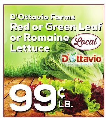 DeCicco & Sons D'ottavio farms red or green leaf or romaine lettuce offer