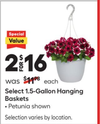 Lowe's Select 1.5-gallon hanging baskets offer