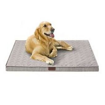 Kohl's Friends forever orthopedic dog bed offer