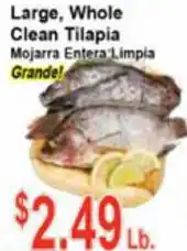 Large, Whole Clean Tilapian