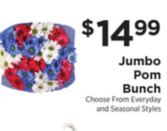 ShopRite Jumbo pom bunch offer