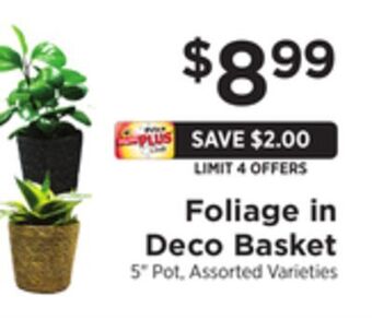 ShopRite Foliage in deco basket offer
