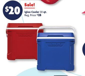 Family Dollar Igloo cooler offer