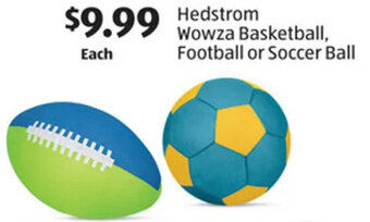 Aldi Hedstrom Wowza Basketball, Football or Soccer Ball offer