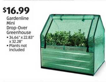 Aldi Gardenline Mini Drop-over Greenhouse offer