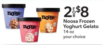Publix Noosa Frozen Yoghurt Gelato 14-oz offer