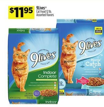 Dollar General 9lives® cat food offer