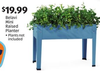 Aldi Belavi mini raised planter offer