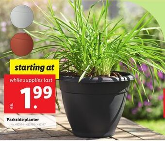 Lidl Parkside planter offer