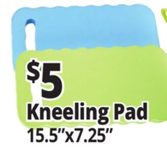 Ocean State Job Lot Kneeling pad offer