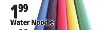 Ocean State Job Lot Assorted pool noodles offer