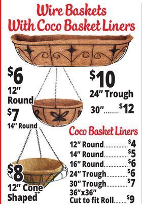 Ocean State Job Lot Wire baskets with coco basket liners offer