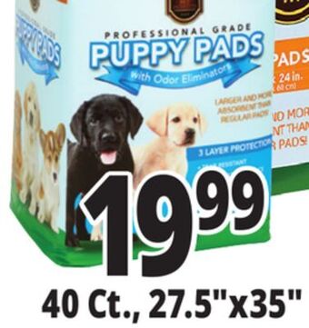 Ocean State Job Lot Puppy pads offer