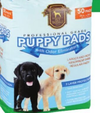 Ocean State Job Lot 24x24 puppy pads with odor eliminators, 50-count offer