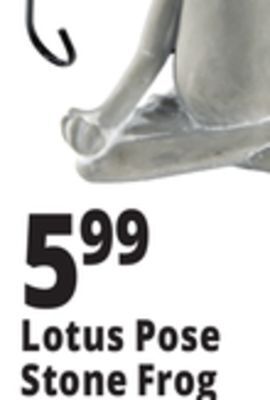 Ocean State Job Lot Stone frog statue offer