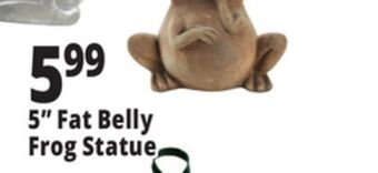 Ocean State Job Lot 5 fat belly frog statue offer