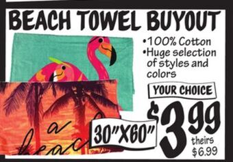 Ollie's Beach towel offer