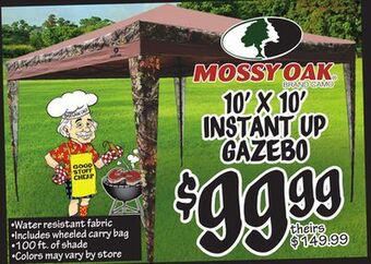 Ollie's Mossy oak 10' x 10' instant up gazebo offer