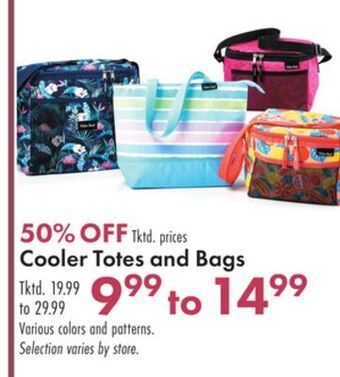 Boscov's Cooler totes and bags offer
